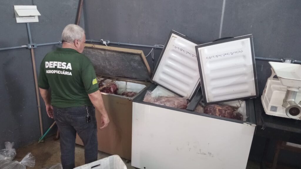 Carne de cavalo anápolis
