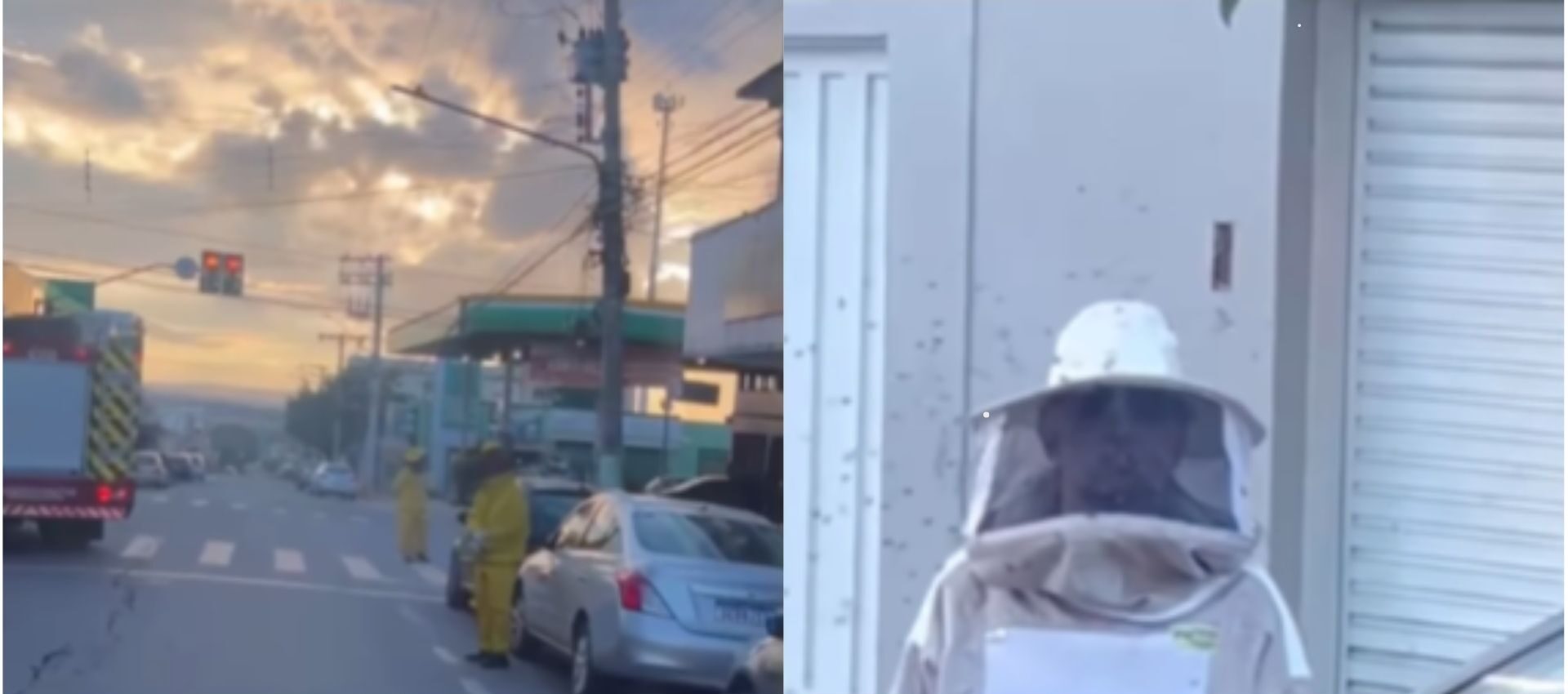 Ataque de abelhas no Centro de Anápolis deixa homem em estado grave