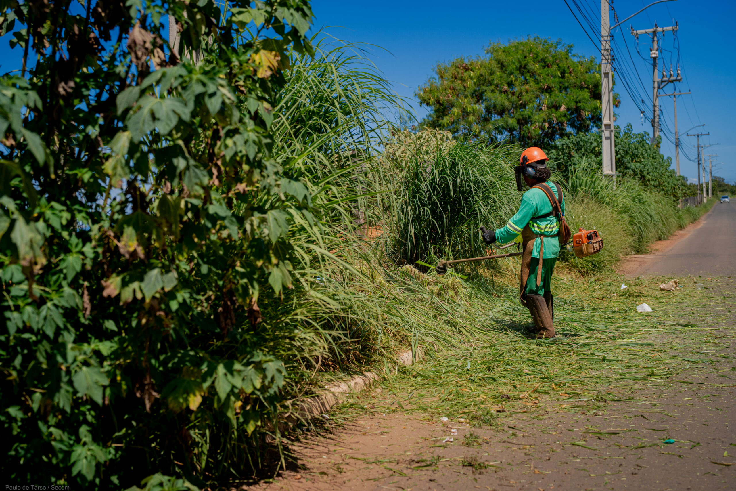 limpeza d elotes em Anápolis multas
