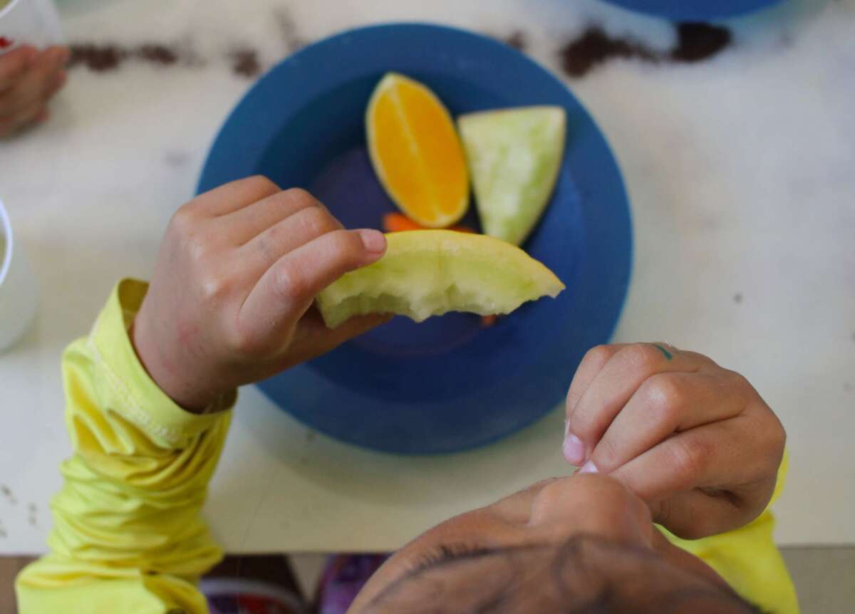 segurança alimentar anápolis