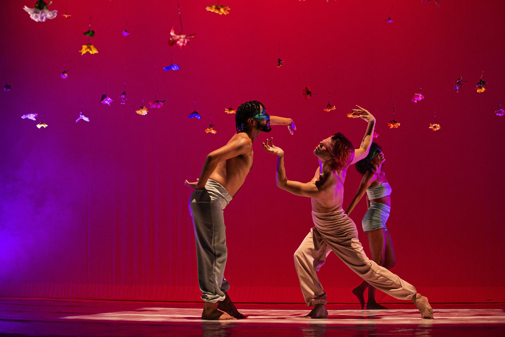 Espetáculo “Habitat” chega a Anápolis com dança contemporânea e visibilidade LGBTQIAPN+