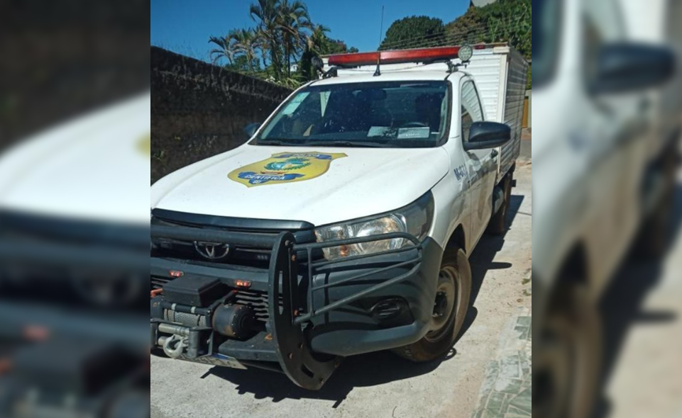 cachorro encontra ossada em anapolis