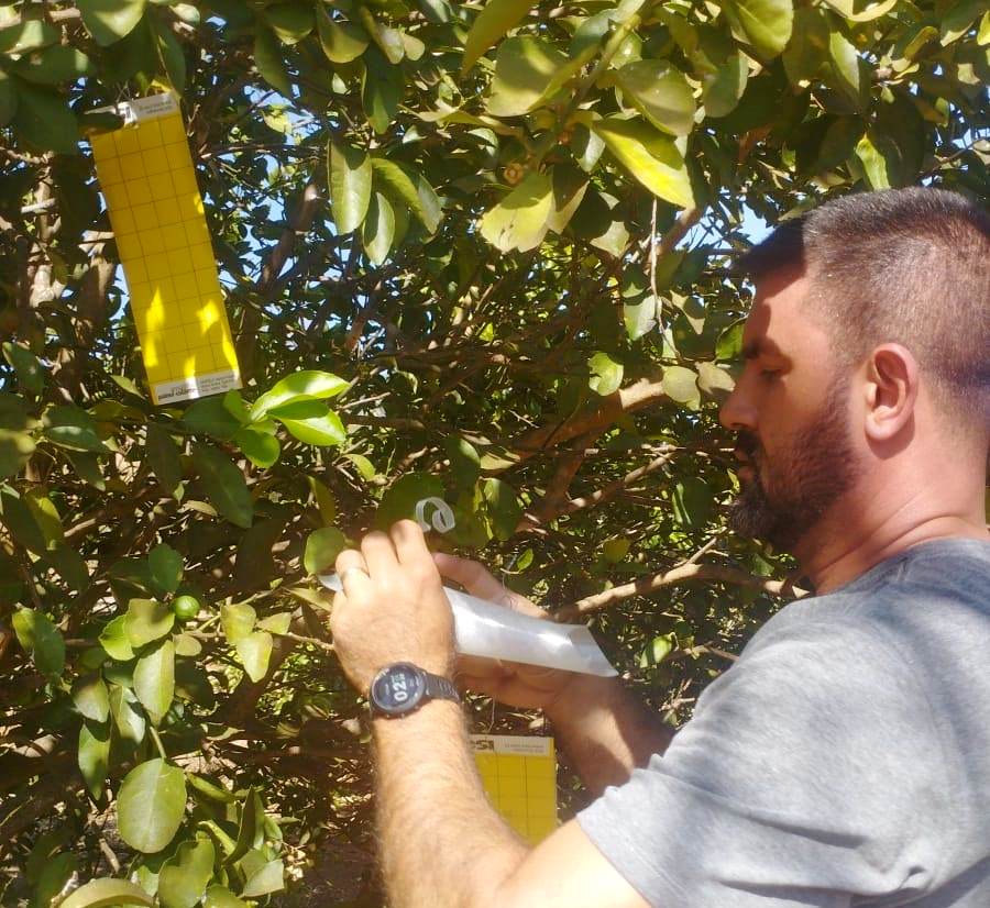 Foto: Divulgação/Agrodefesa