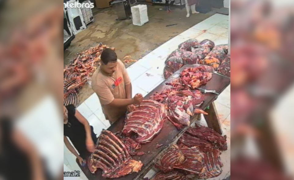 Polícia Civil desarticula esquema de carne de cavalo clandestina em Anápolis