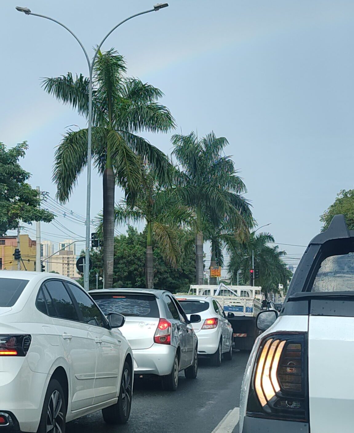 Foto: © Dhayane Marques