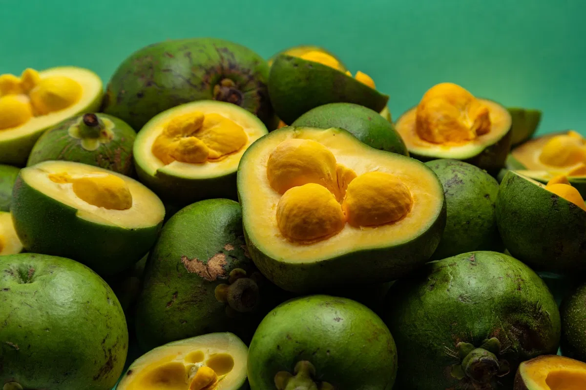 pequi goiás pesquisa valores nutricionais