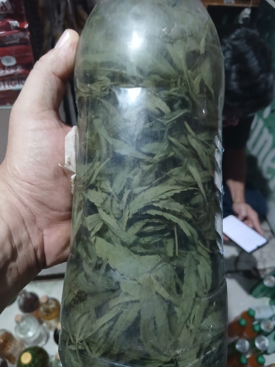 Cachaça de maconha