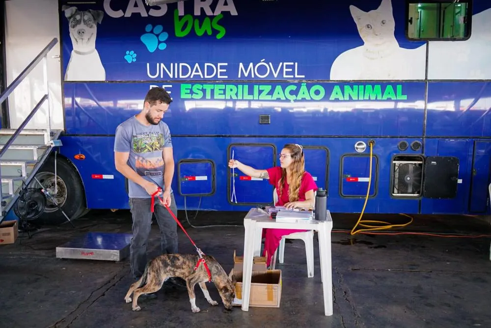 Mutirão de castração