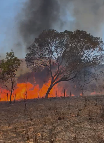 Incêndio Chapada dos Veadeiros