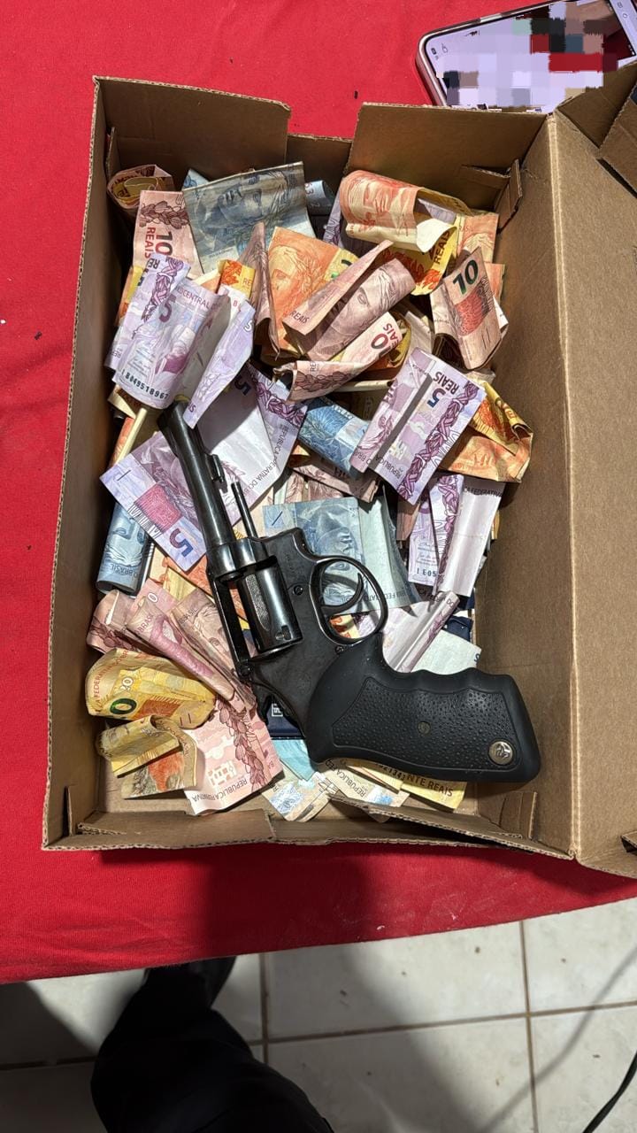 organização criminosa