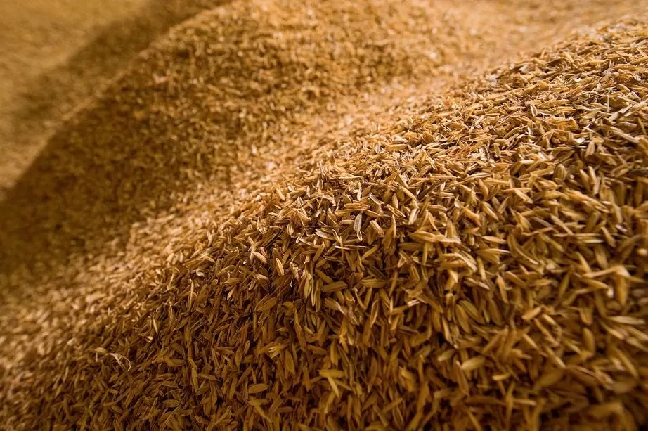 Projeto da UFG transforma resíduos agroindustriais em energia limpa e bioinsumos no campo
