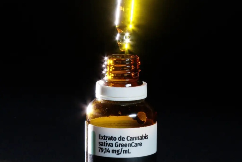 Anvisa aprova regras para produção e pesquisa de cannabis medicinal no Brasil.