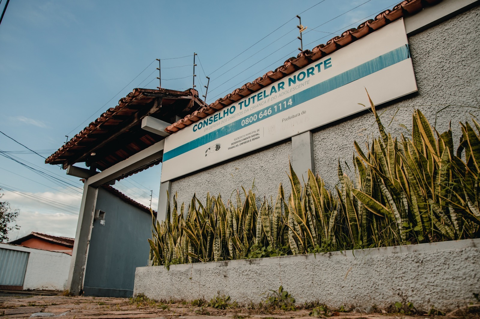 Saiba como acionar o Conselho Tutelar de Anápolis para denúncias e orientações